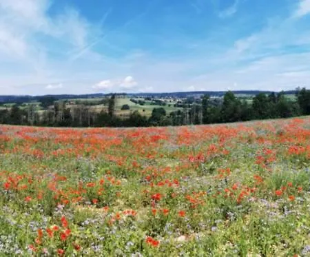 Appartamento Heimatliebe Mit Alpenblick *
