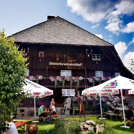 Heimatliebe Mit Alpenblick Apartment *