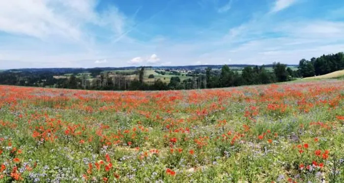 Lägenhet Heimatliebe Mit Alpenblick *